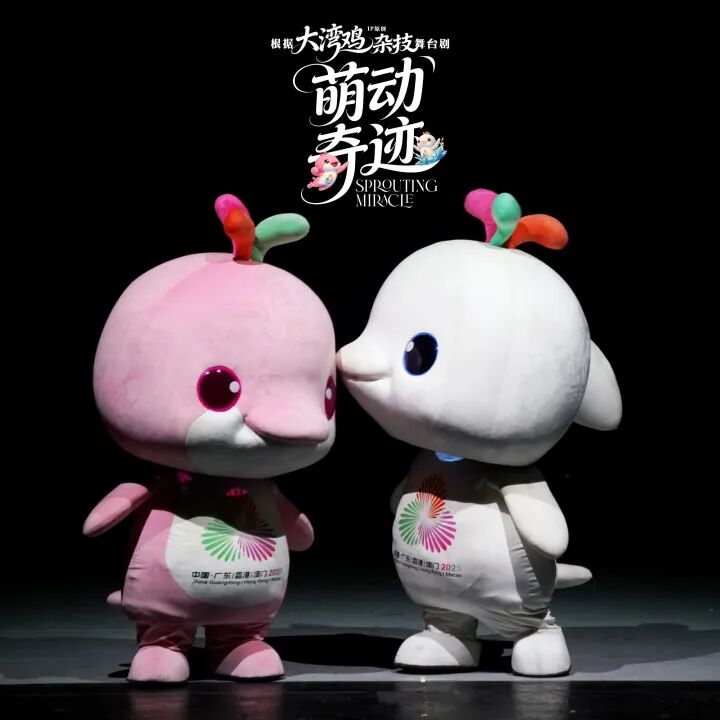 第十三届全国杂技展演丨ee99们,顶流大湾鸡《萌动奇迹》要来北海演出啦!